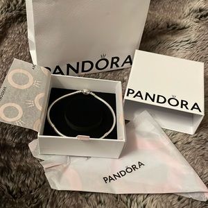 BNIB Pandora Special Moments bracelet 9 inch (comes with box, bag and tissue)